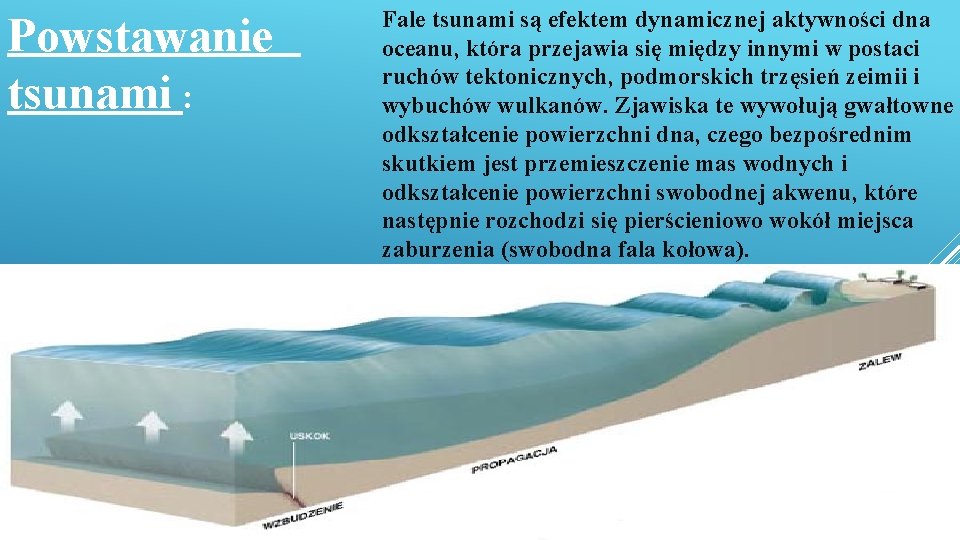 Powstawanie tsunami : Fale tsunami są efektem dynamicznej aktywności dna oceanu, która przejawia się