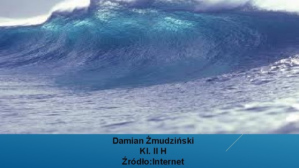 Damian Żmudziński Kl. II H Źródło: Internet 
