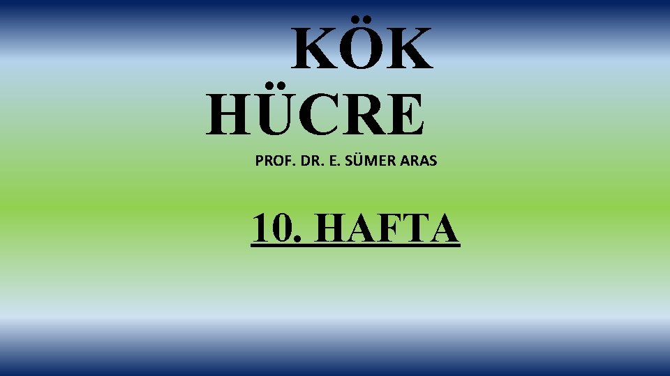 KÖK HÜCRE PROF. DR. E. SÜMER ARAS 10. HAFTA 