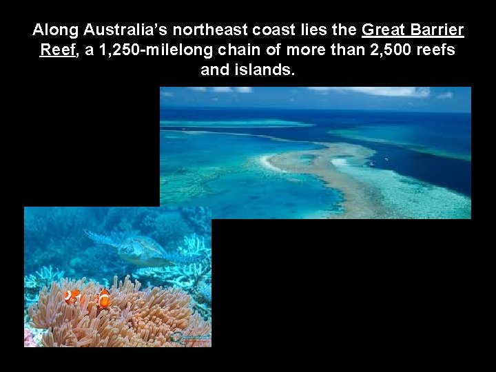 Along Australia’s northeast coast lies the Great Barrier Reef, a 1, 250 -milelong chain
