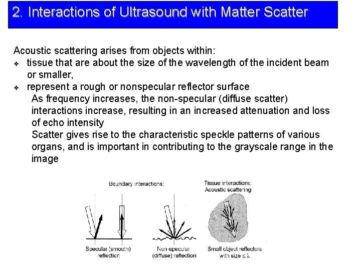 2. Interactions of Ultrasound with Matter Scatter Acoustic scattering arises from objects within: v