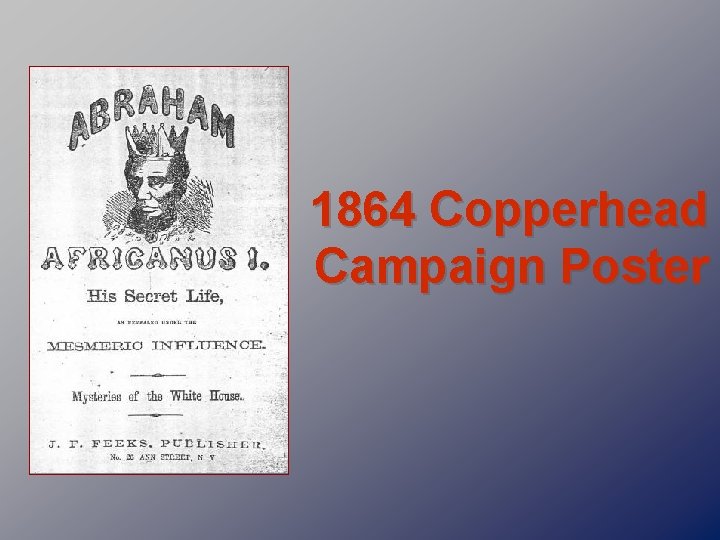 1864 Copperhead Campaign Poster 