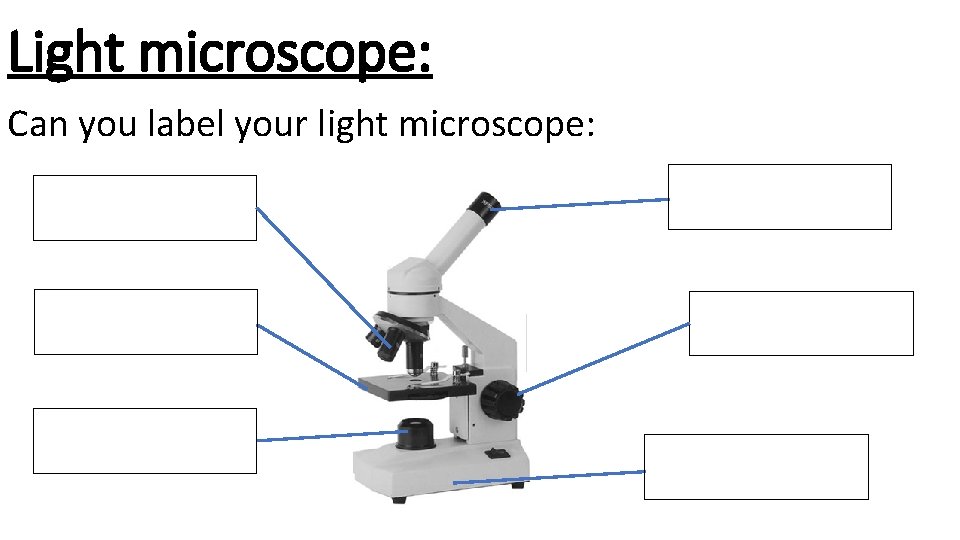 Light microscope: Can you label your light microscope: 