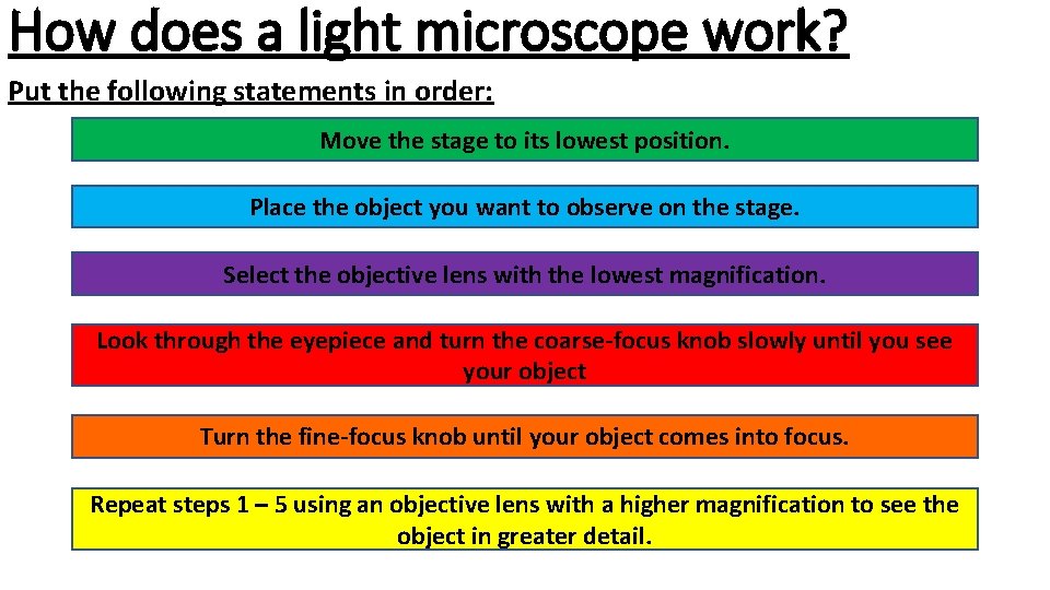 How does a light microscope work? Put the following statements in order: Move the