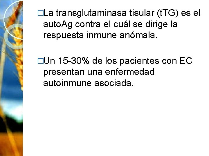 �La transglutaminasa tisular (t. TG) es el auto. Ag contra el cuál se dirige