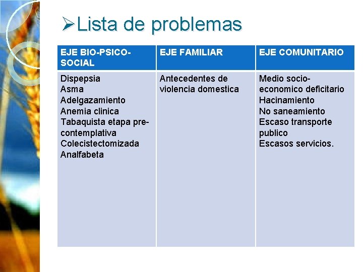 ØLista de problemas EJE BIO-PSICOSOCIAL EJE FAMILIAR EJE COMUNITARIO Dispepsia Asma Adelgazamiento Anemia clinica