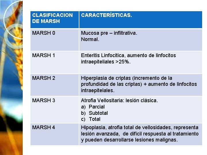 CLASIFICACION DE MARSH CARACTERÍSTICAS. MARSH 0 Mucosa pre – infiltrativa. Normal. MARSH 1 Enteritis