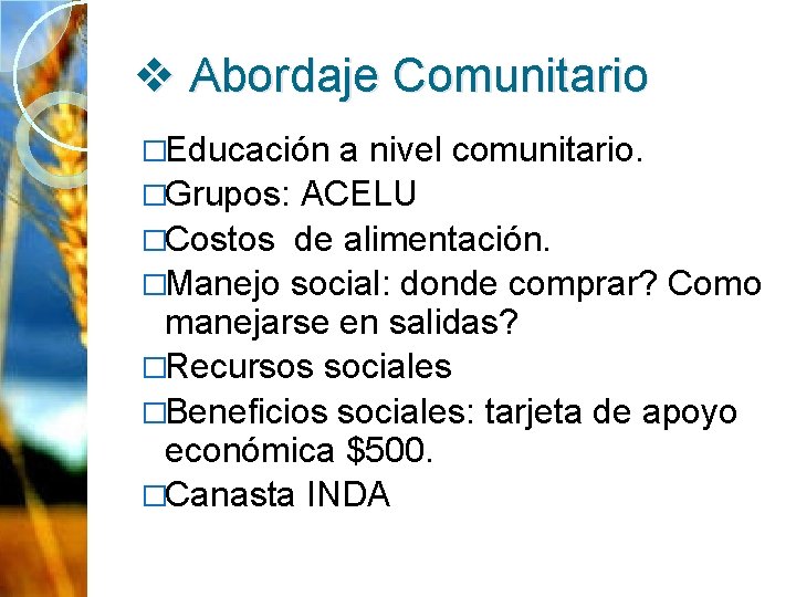 v Abordaje Comunitario �Educación a nivel comunitario. �Grupos: ACELU �Costos de alimentación. �Manejo social: