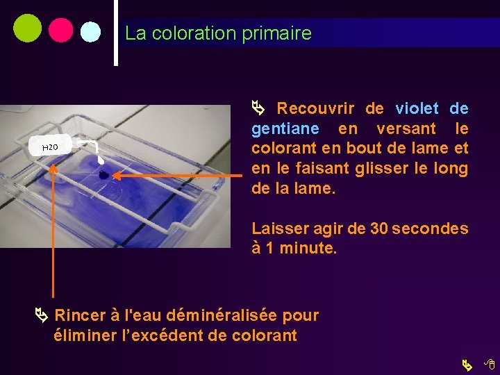 Les Reactifs 1 Er Colorant Violet De Gentiane