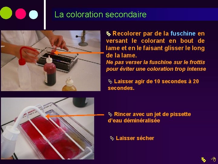 Les Reactifs 1 Er Colorant Violet De Gentiane