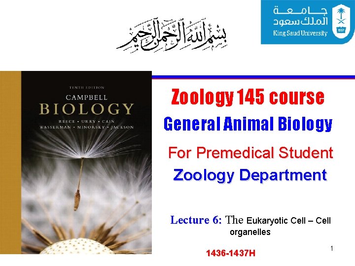 Zoology 145 course General Animal Biology For Premedical Student Zoology Department Lecture 6: The