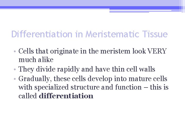 Differentiation in Meristematic Tissue • Cells that originate in the meristem look VERY much