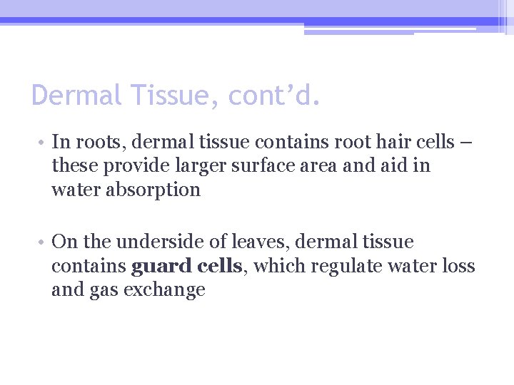Dermal Tissue, cont’d. • In roots, dermal tissue contains root hair cells – these