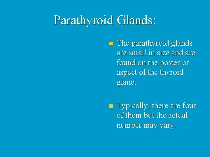 Parathyroid Glands: n The parathyroid glands are small in size and are found on