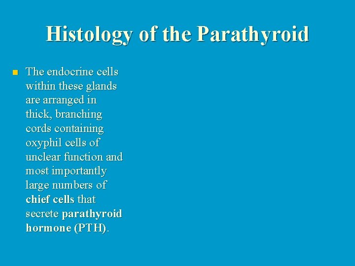 Histology of the Parathyroid n The endocrine cells within these glands are arranged in