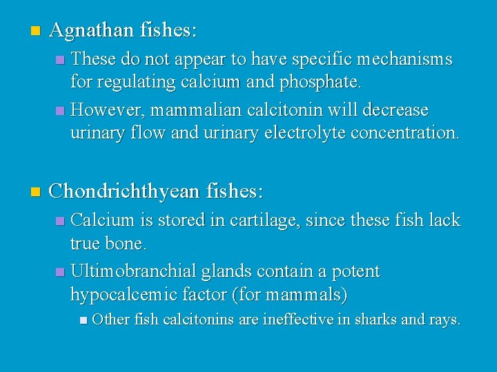 n Agnathan fishes: These do not appear to have specific mechanisms for regulating calcium