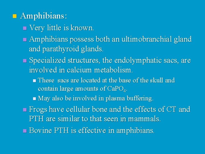 n Amphibians: Very little is known. n Amphibians possess both an ultimobranchial gland parathyroid