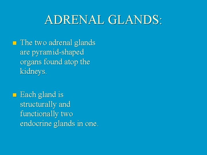ADRENAL GLANDS: n The two adrenal glands are pyramid-shaped organs found atop the kidneys.