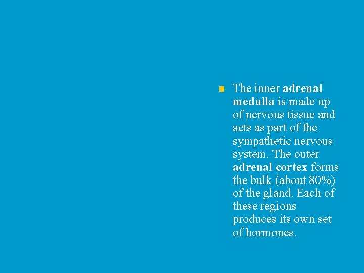 n The inner adrenal medulla is made up of nervous tissue and acts as