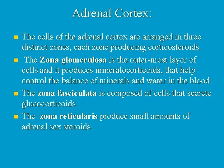 Adrenal Cortex: n n The cells of the adrenal cortex are arranged in three