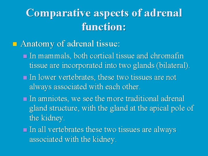 Comparative aspects of adrenal function: n Anatomy of adrenal tissue: In mammals, both cortical