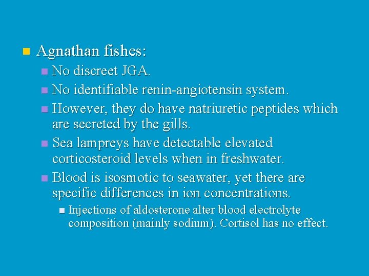 n Agnathan fishes: No discreet JGA. n No identifiable renin-angiotensin system. n However, they