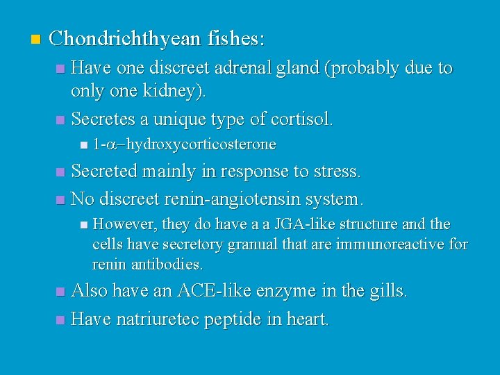 n Chondrichthyean fishes: Have one discreet adrenal gland (probably due to only one kidney).