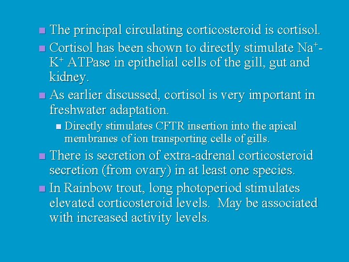 The principal circulating corticosteroid is cortisol. n Cortisol has been shown to directly stimulate