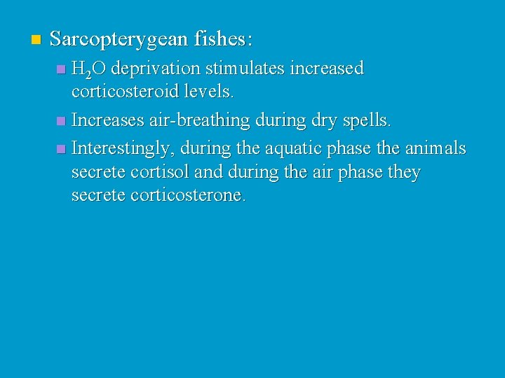 n Sarcopterygean fishes: H 2 O deprivation stimulates increased corticosteroid levels. n Increases air-breathing