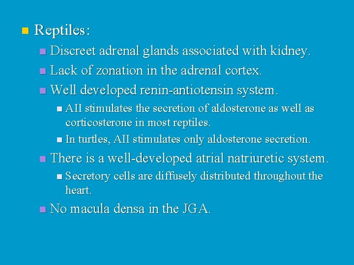 n Reptiles: Discreet adrenal glands associated with kidney. n Lack of zonation in the