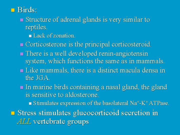 n Birds: n Structure of adrenal glands is very similar to reptiles. n Lack