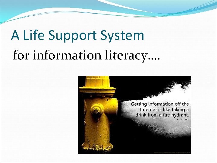 A Life Support System for information literacy…. 
