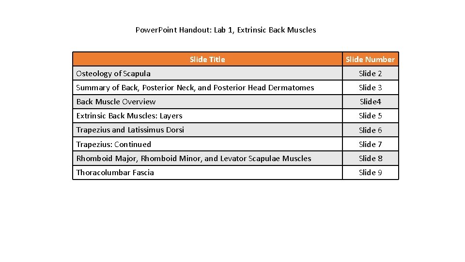 Power. Point Handout: Lab 1, Extrinsic Back Muscles Slide Title Slide Number Osteology of
