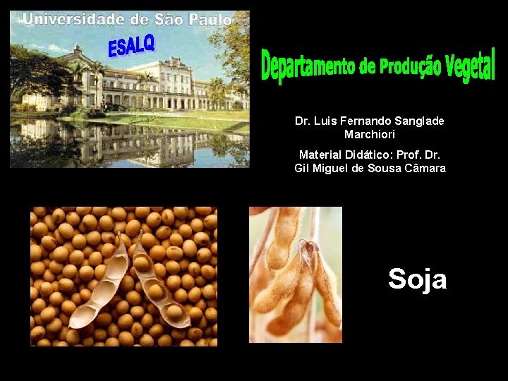 Dr. Luis Fernando Sanglade Marchiori Material Didático: Prof. Dr. Gil Miguel de Sousa Câmara