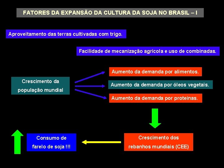 FATORES DA EXPANSÃO DA CULTURA DA SOJA NO BRASIL – I Aproveitamento das terras