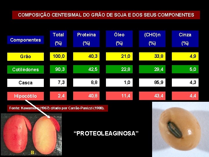 COMPOSIÇÃO CENTESIMAL DO GRÃO DE SOJA E DOS SEUS COMPONENTES Componentes Total Proteína Óleo