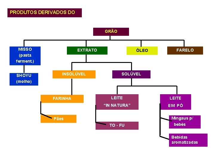 PRODUTOS DERIVADOS DO GRÃO MISSO (pasta ferment. ) SHOYU (molho) EXTRATO INSOLÚVEL FARINHA ÓLEO