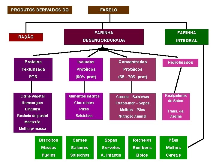 PRODUTOS DERIVADOS DO RAÇÃO FARELO FARINHA DESENGORDURADA INTEGRAL Proteína Isolados Concentrados Texturizada Protéicos PTS