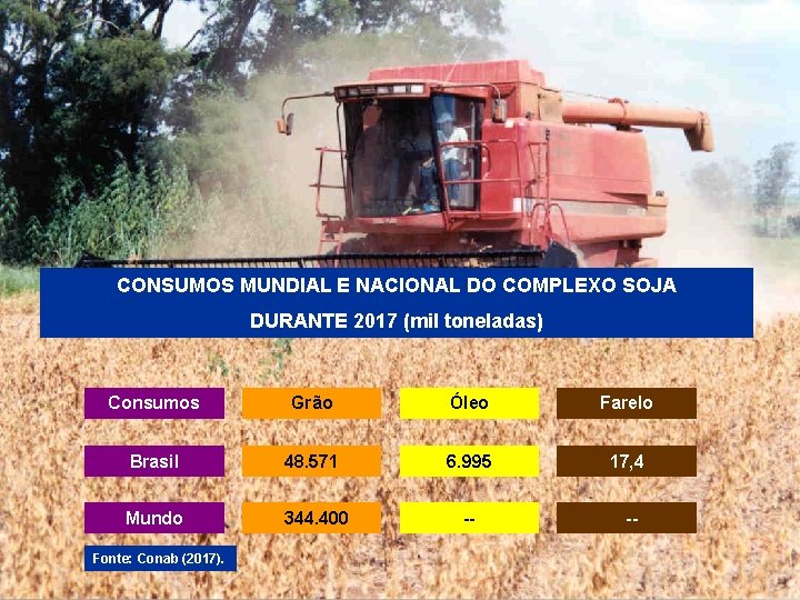 CONSUMOS MUNDIAL E NACIONAL DO COMPLEXO SOJA DURANTE 2017 (mil toneladas) Consumos Grão Óleo