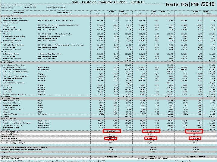 Fonte: IEG|FNP /2019 