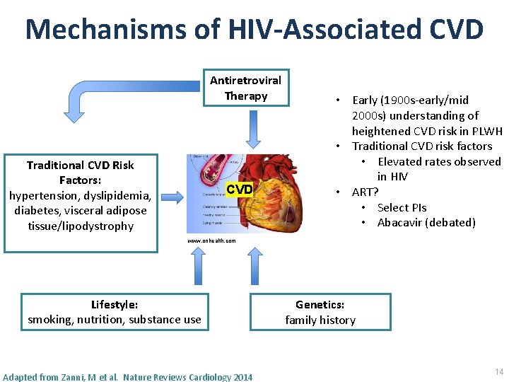 Mechanisms of HIV‐Associated CVD Antiretroviral Therapy Traditional CVD Risk Factors: hypertension, dyslipidemia, diabetes, visceral