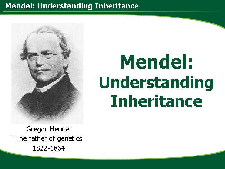 Mendel: Understanding Inheritance Mendel: Understanding Inheritance Gregor Mendel “The father of genetics” 1822 -1864