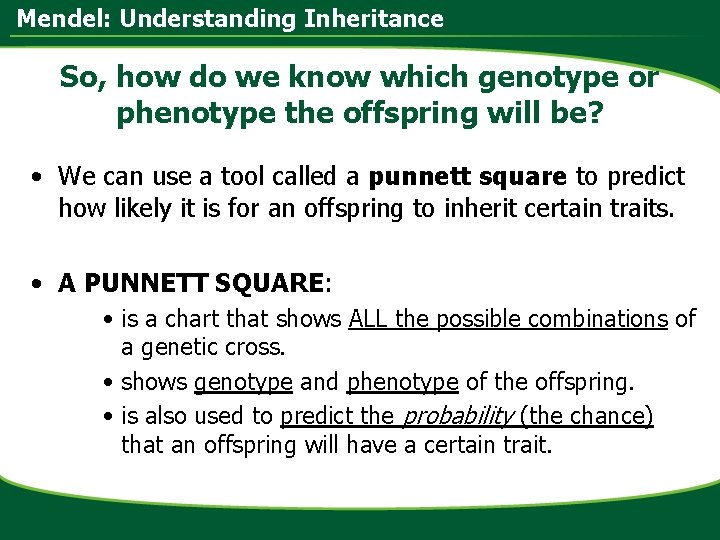 Mendel: Understanding Inheritance So, how do we know which genotype or phenotype the offspring