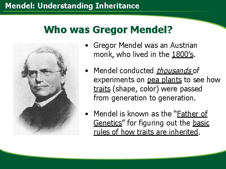 Mendel: Understanding Inheritance Who was Gregor Mendel? • Gregor Mendel was an Austrian monk,