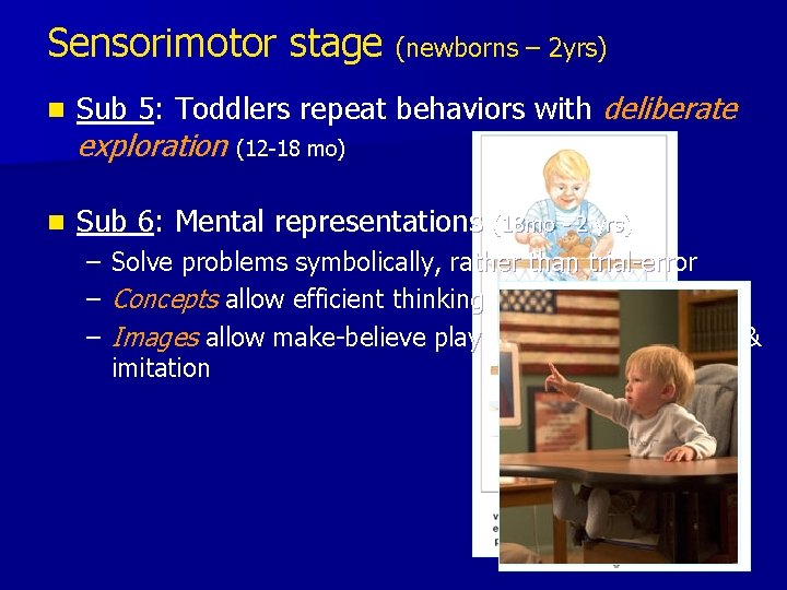 Sensorimotor stage (newborns – 2 yrs) n Sub 5: Toddlers repeat behaviors with deliberate