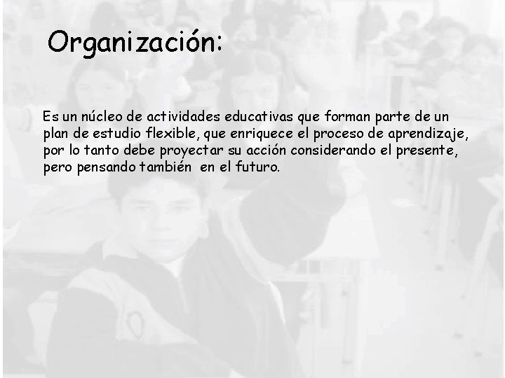 Organización: Es un núcleo de actividades educativas que forman parte de un plan de