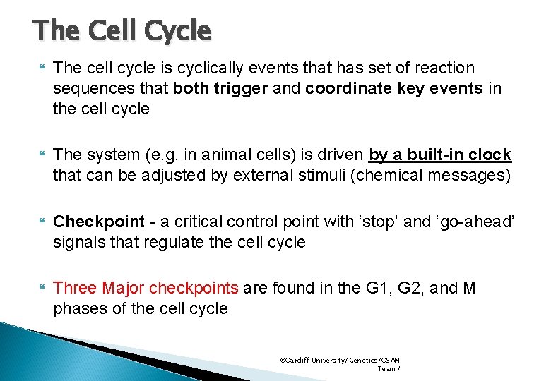 The Cell Cycle The cell cycle is cyclically events that has set of reaction