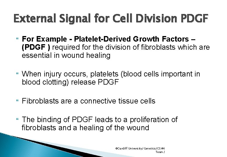 External Signal for Cell Division PDGF For Example - Platelet-Derived Growth Factors – (PDGF