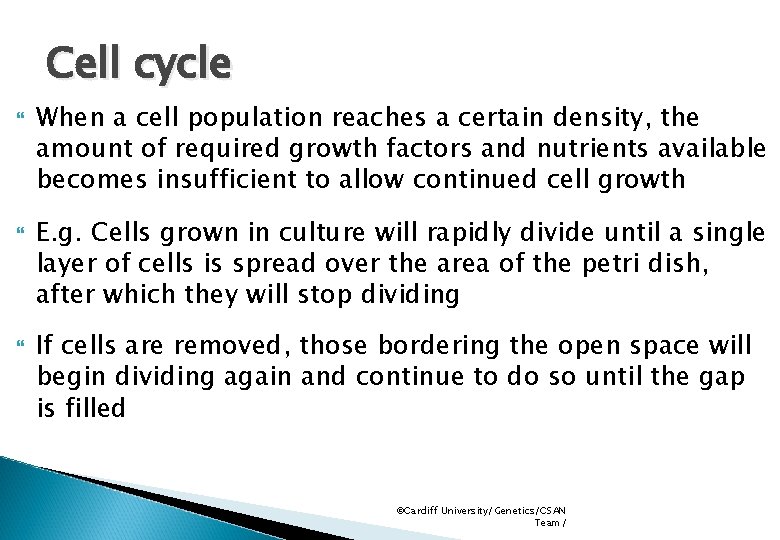 Cell cycle When a cell population reaches a certain density, the amount of required