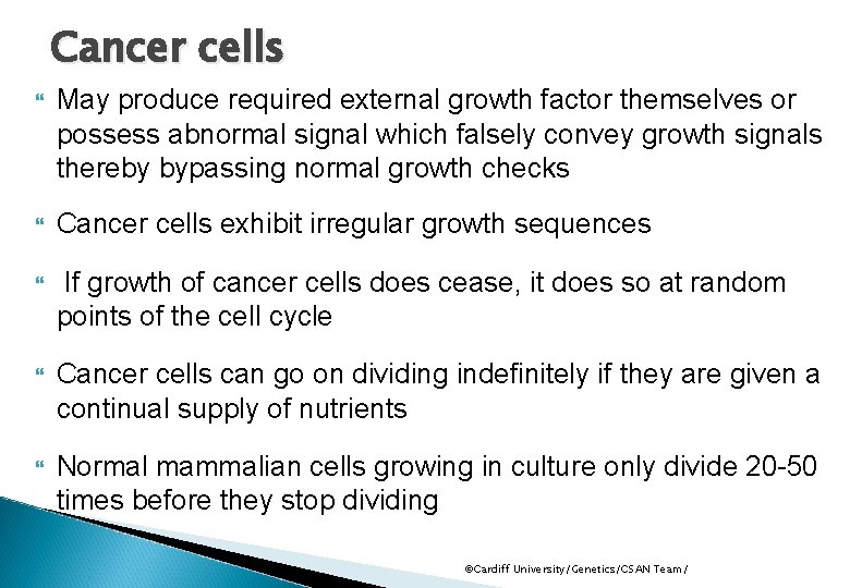 Cancer cells May produce required external growth factor themselves or possess abnormal signal which